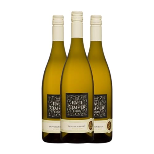 Paul Cluver Sauvignon Blanc Elgin 75 cl Vino blanco (Caja de 3 Botellas de 75 cl)