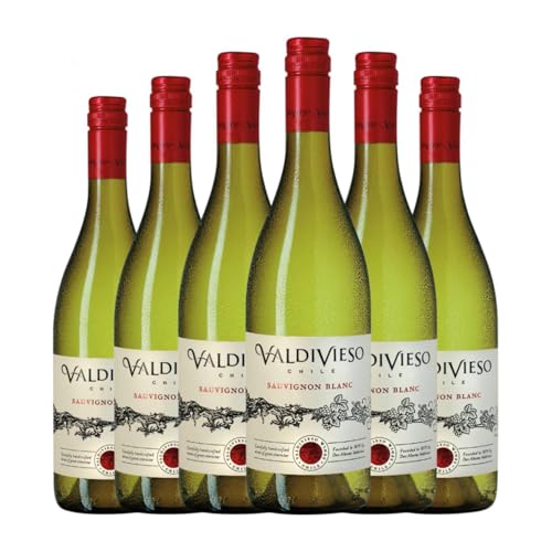 Valdivieso Sauvignon Blanca Valle Central 75 cl Vino blanco (Caja de 6 Botellas de 75 cl)