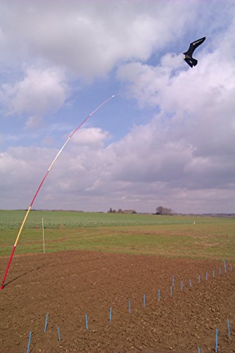 SCARYBIRD Cometa espantapájaros de Calidad Profesional