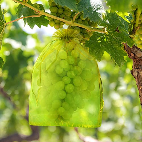 Hywean Bolsas para Proteger Uvas Frutales, Malla de Protección para Uvas Frutas Bolsas Organza con...