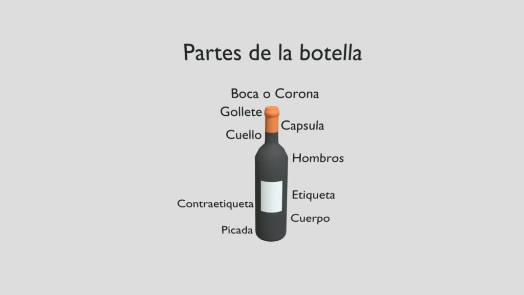 partes de la botella de vino