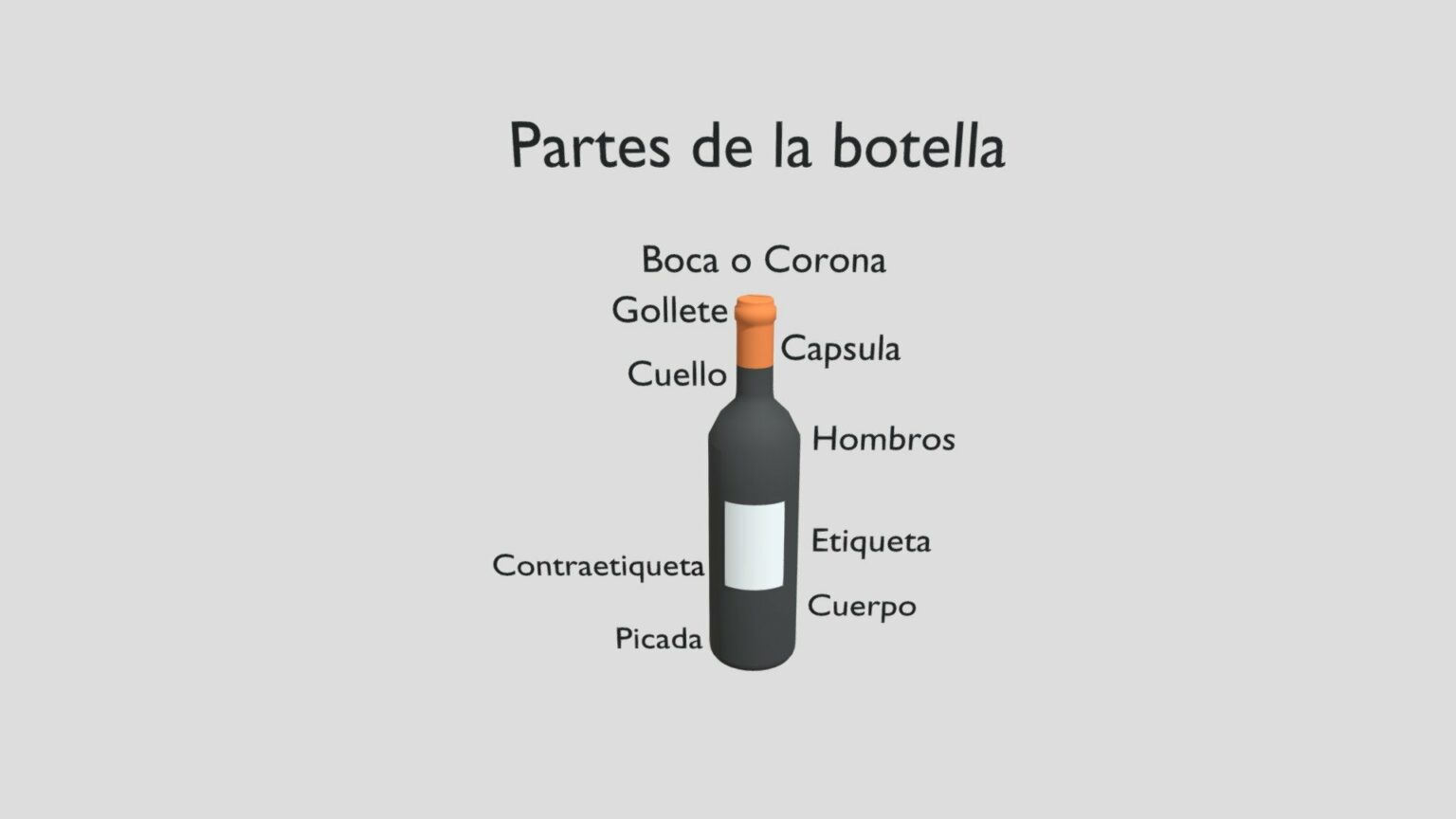 Botellas De Vino: La Importancia De Seleccionar La Botella Adecuada